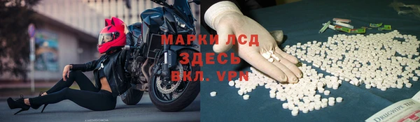 стаф Инсар