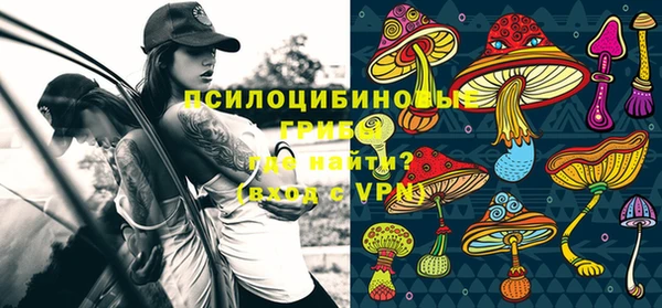 mdpv Каменск-Шахтинский