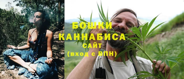 mix Инта