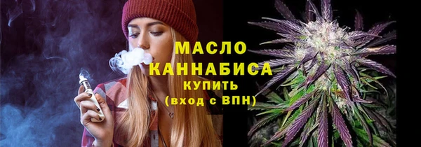 mix Инта