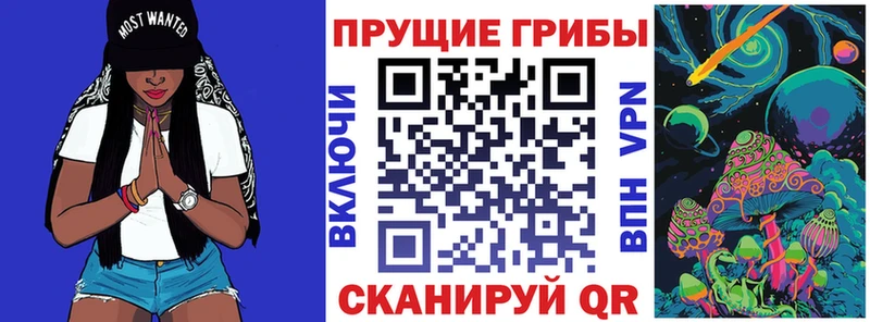 Галлюциногенные грибы GOLDEN TEACHER  Купить  Коркино 